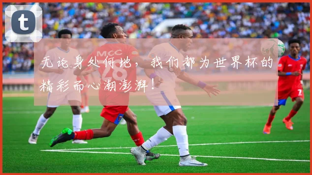 无论身处何地，我们都为世界杯的精彩而心潮澎湃！