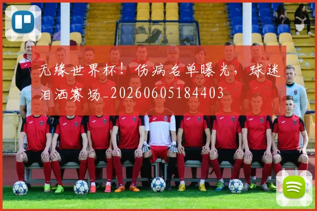 无缘世界杯！伤病名单曝光，球迷泪洒赛场_20260605184403