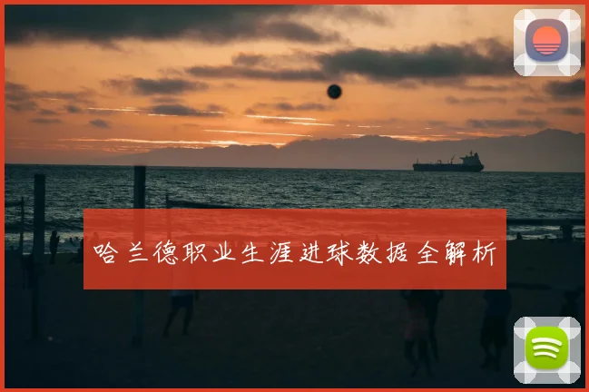 哈兰德职业生涯进球数据全解析
